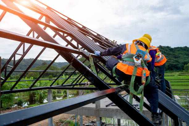 Best Roof Maintenance Services  in Luckey, OH