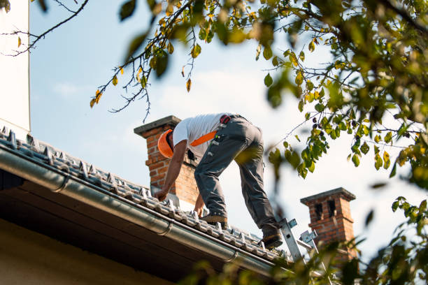 Best Roof Restoration Services  in Luckey, OH