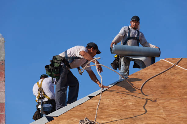 Quick and Trustworthy Emergency Roof Repair Services in Luckey, OH