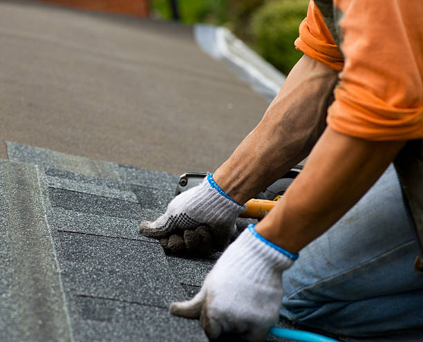 Best Flat Roof Repair Services  in Luckey, OH