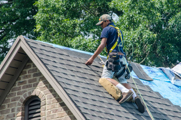 Best Emergency Roof Repair  in Luckey, OH